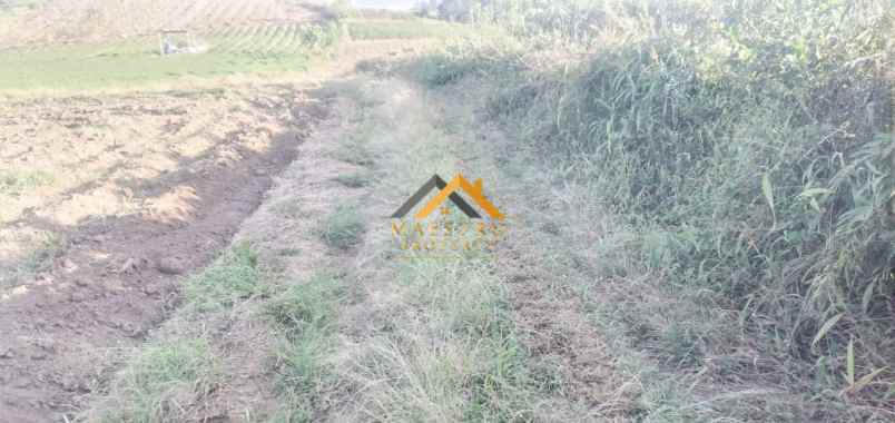 dijual tanah kosong daerah karo sukanalu barusjahe