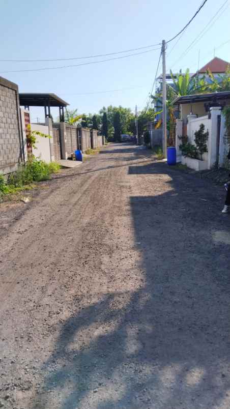 dijual tanah lokasi jalan badak agung renon