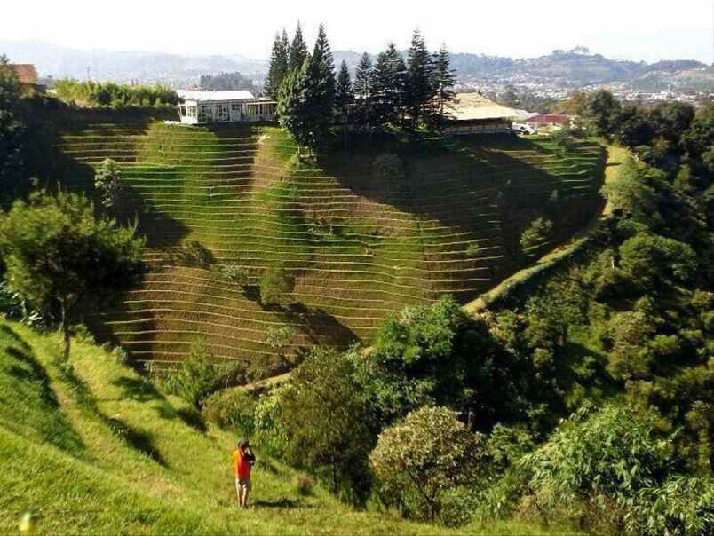 dijual tanah manoko lembang