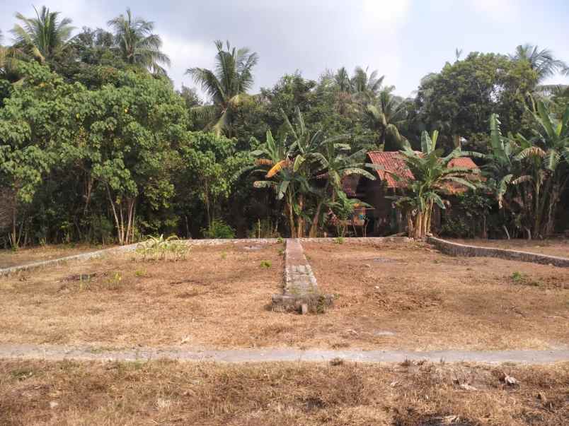 dijual tanah panjatan