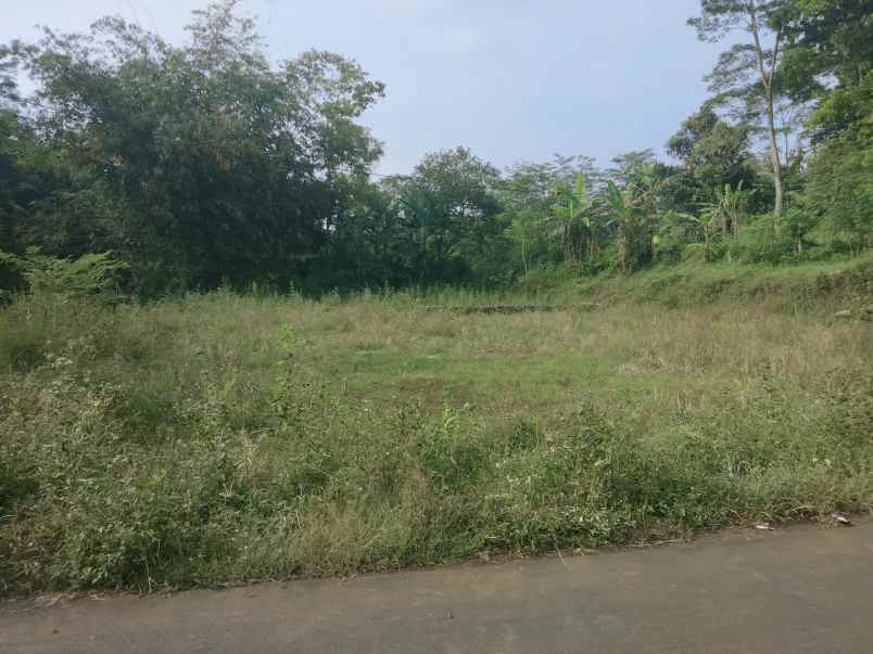 dijual tanah pinggir jalan desa di pinggir ada sungai