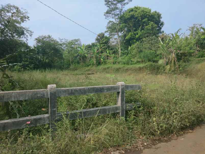 dijual tanah pinggir jalan desa di pinggir ada sungai