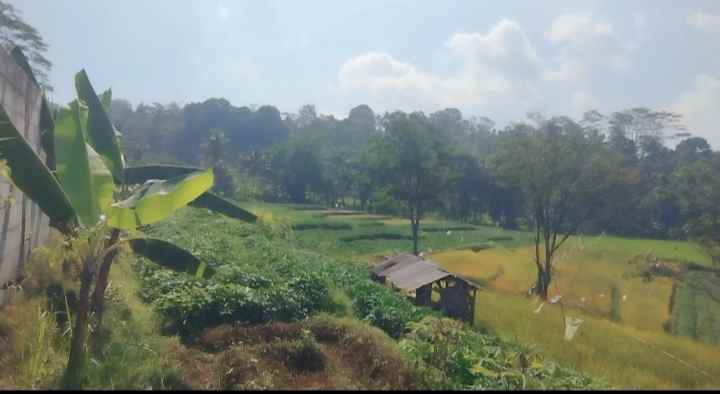 dijual tanah pinggir jalan desa view bagus