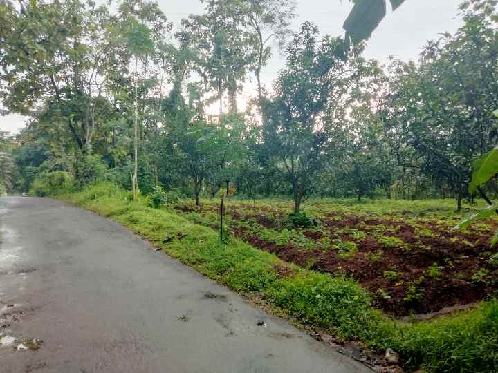 dijual tanah pinggir jl desa sarwadadi