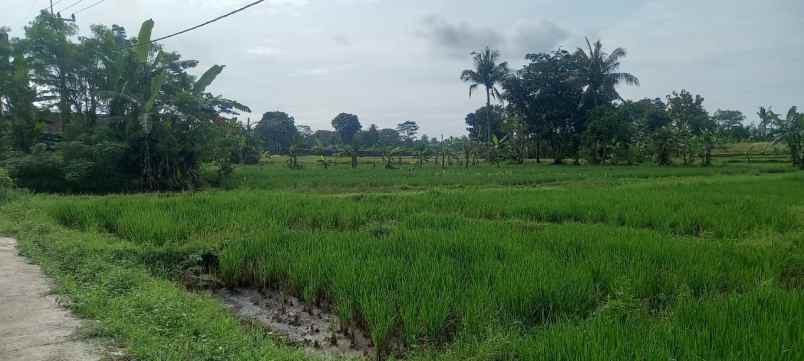 dijual tanah pinggir jl view gunung sawah