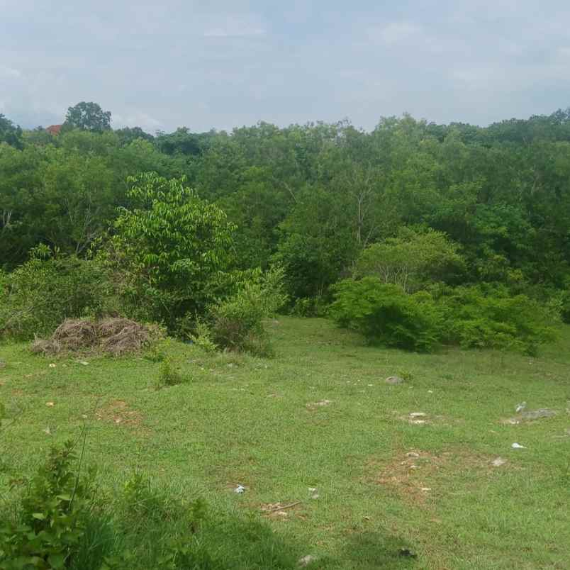 dijual tanah puncak wisesa