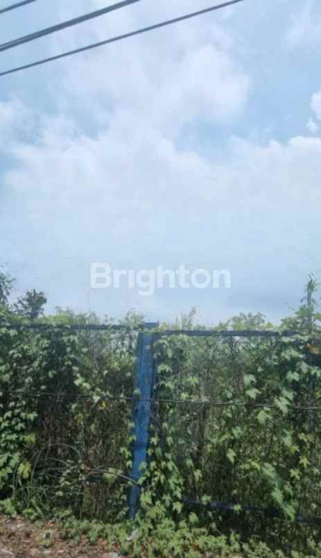 dijual tanah raya gedangan