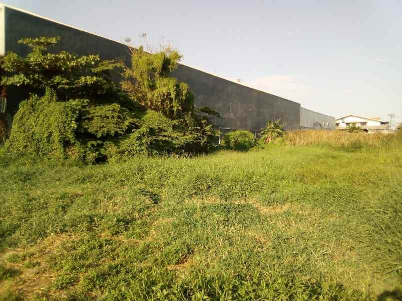 dijual tanah raya kedung cowek