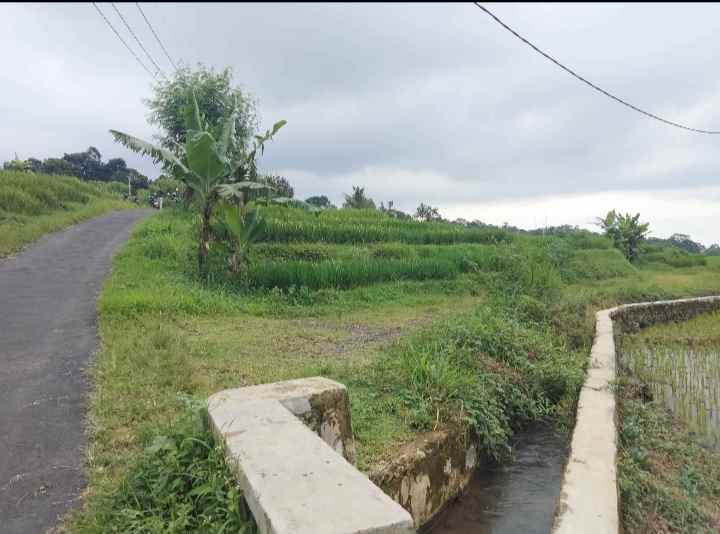 dijual tanah sawah pinggir jalan view gunung