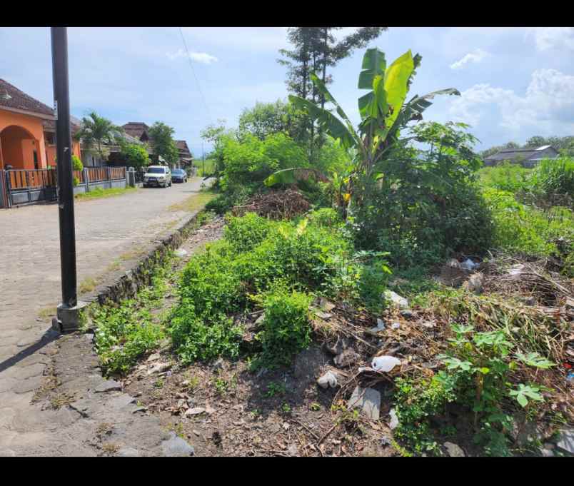 dijual tanah sidokarto godean sleman