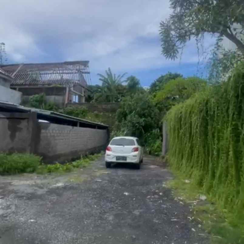 dijual tanah tegal buah padangsambian kelod
