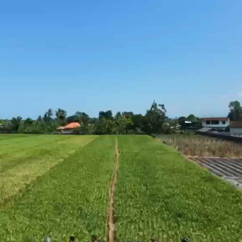 dijual tanah tibibiu pantai pasut