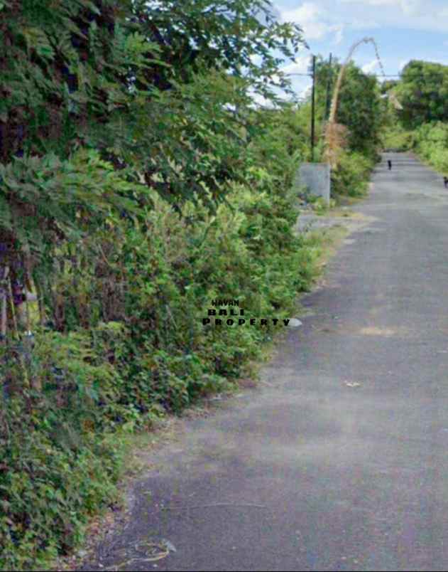 dijual tanah ungasan jimbaran