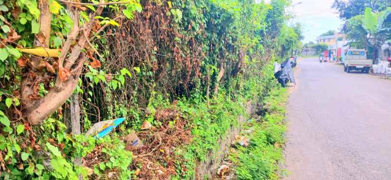 disewakan tanah jalan sekar sari denpasar bali