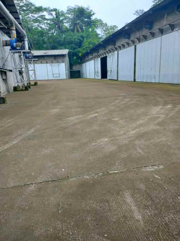 jual gudang kokoh di jalan pantura batang jawa tengah