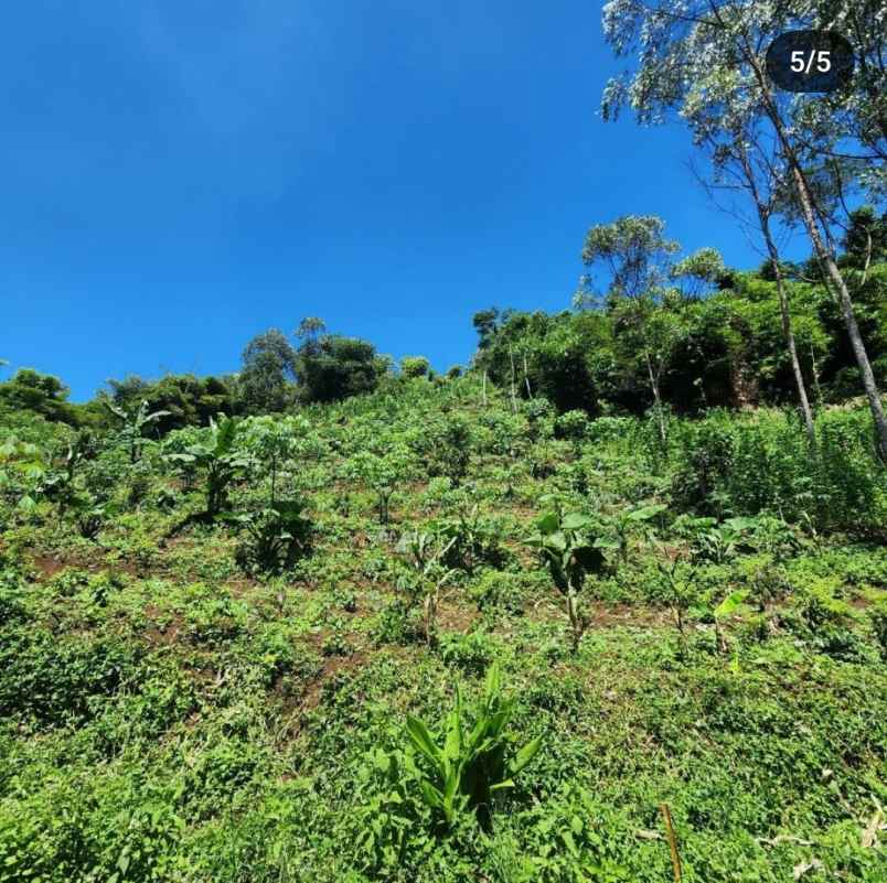 jual tanah ciwidey bandung