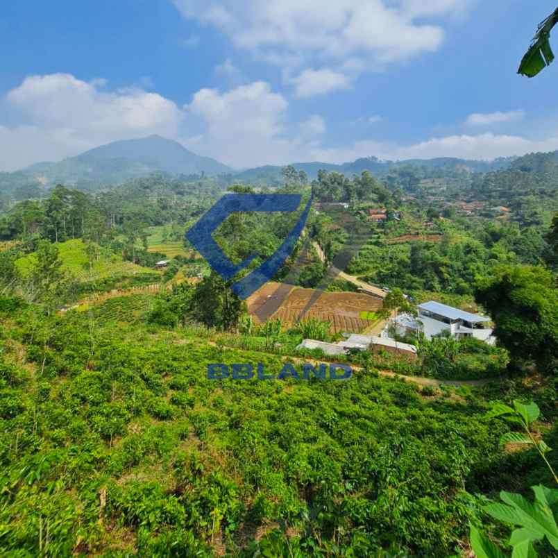 jual tanah cocok untuk villa di ciwidey