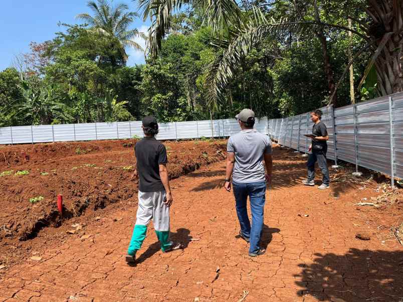 jual tanah murah 55 juta luas 80 meter surat shm