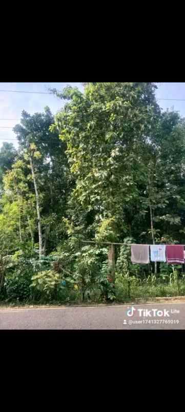 jual tanah murah cepat tanpa perantara