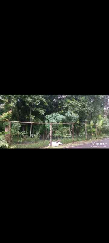 jual tanah murah cepat tanpa perantara