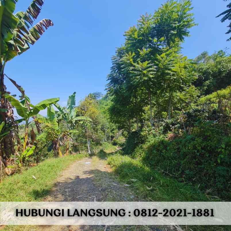 jual tanah murah di ciwidey