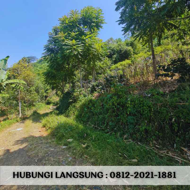 jual tanah murah di ciwidey