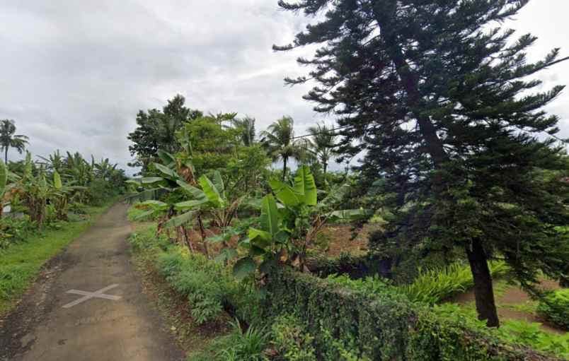 jual tanah shm di semplak bogor 3 km tol yasmin bogor