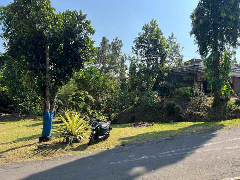 kebun durian subur 1000m kerjo karanganyar