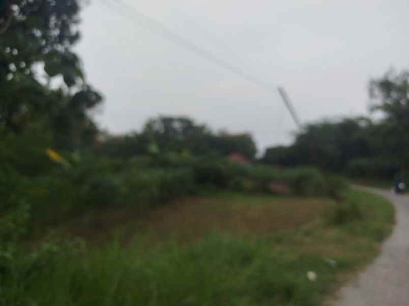 lahan pertanian 40ha diboyolali 200rb m2