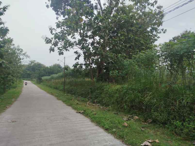 lahan pertanian 40ha diboyolali 200rb m2