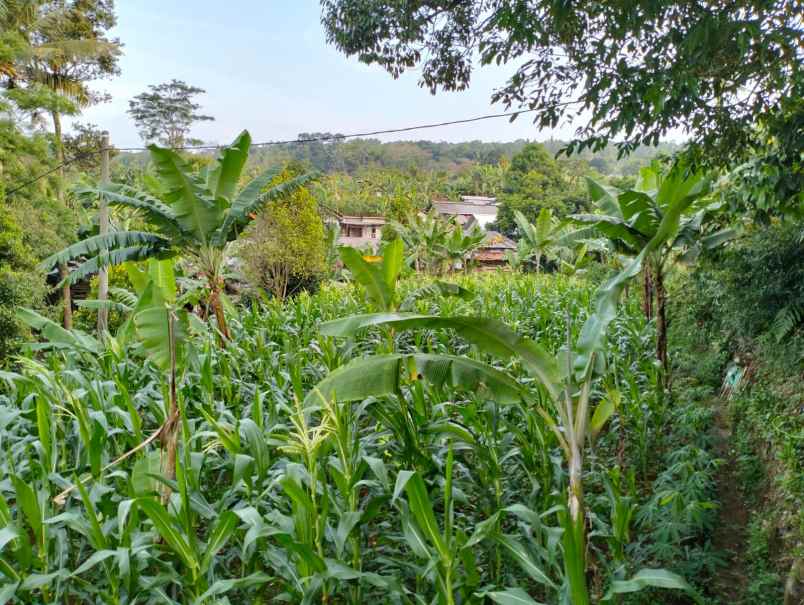 lokasi murah di gn geulis bogor