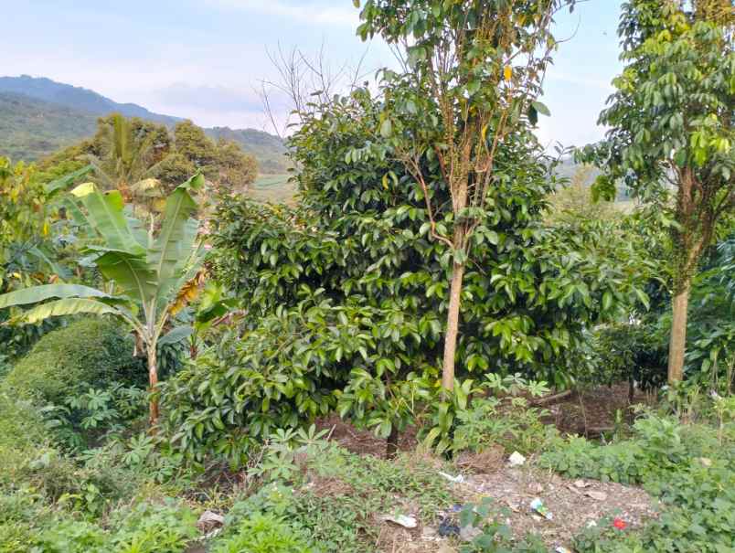 lokasi murah di gn geulis bogor