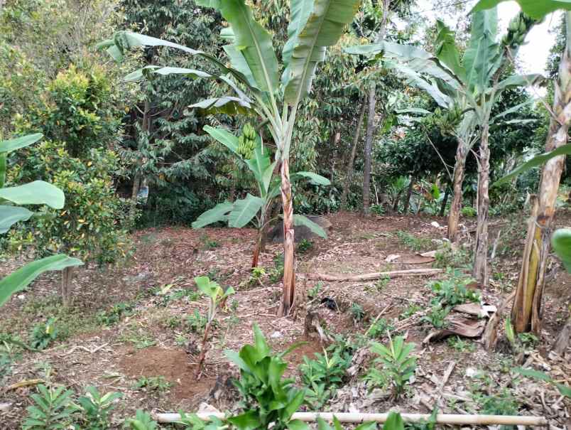 lokasi murah di gn geulis bogor