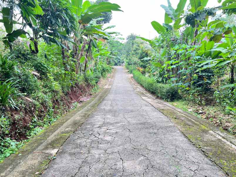 pekarangan super datar 900m mojogedang karanganyar