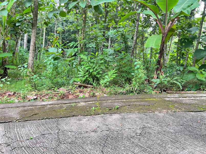 pekarangan super datar 900m mojogedang karanganyar