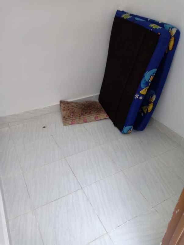 rumah kelapa nias kelapa gading