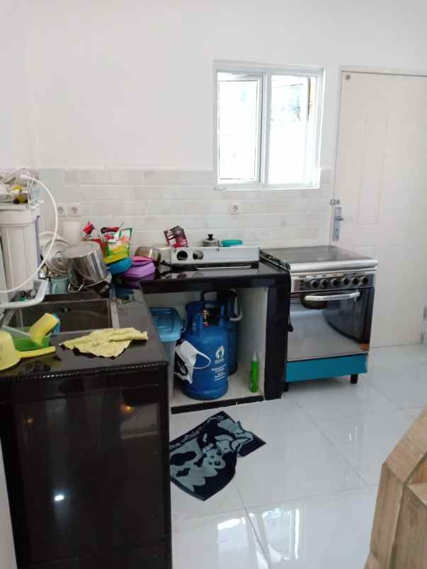 rumah kelapa nias kelapa gading