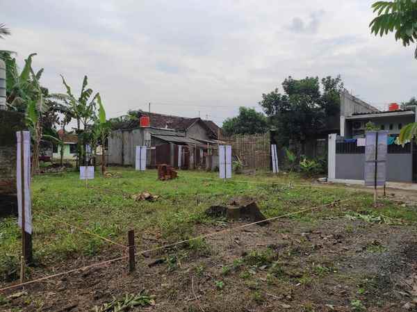 rumah plataran wonolopo