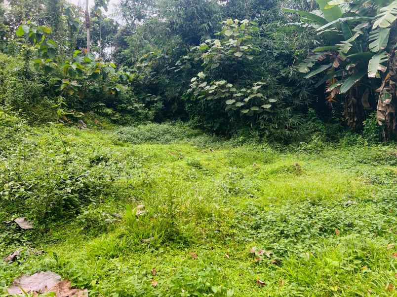 tanah 1723m cocok untuk kebun karanganyar