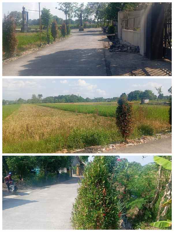 tanah 2035m2 dt wisata ponggok klaten 800jt nego