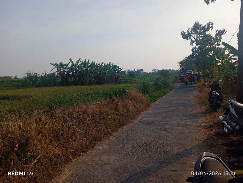 tanah 3300m2 muka 20 meter dekat wisata janti klaten