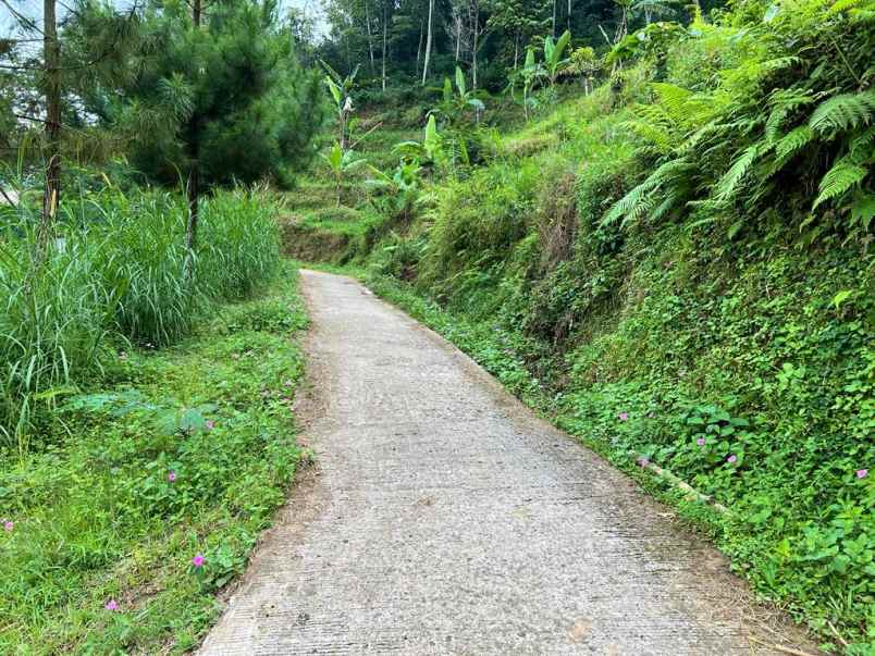 tanah 350jt dekat wisata jembatan kaca kemuning