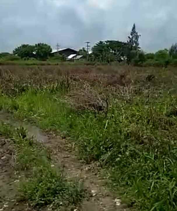 tanah area teluk golf surabaya barat lebar 20