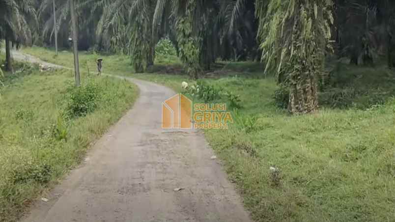 tanah argapura cigudeg kab bogor