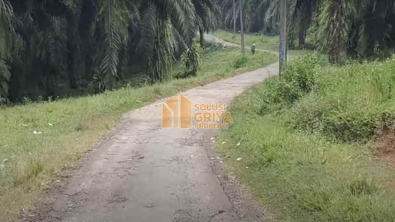 tanah argapura cigudeg kab bogor