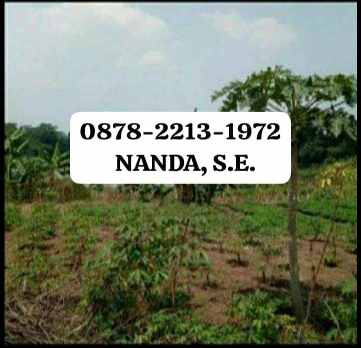 tanah bagus untuk perum cluster komersil di cileungsi