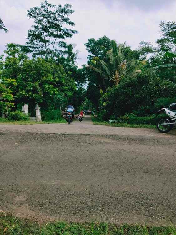 tanah barat pasar mojogedang