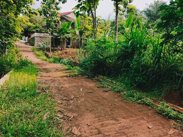 tanah barat pasar mojogedang