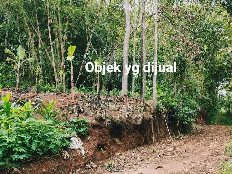 tanah barat pasar mojogedang