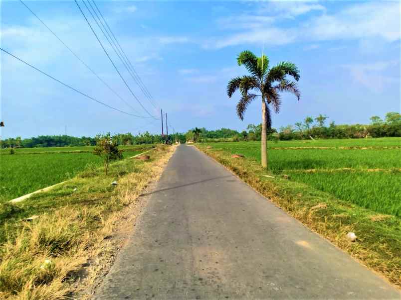 tanah bendungan kedawung sragen